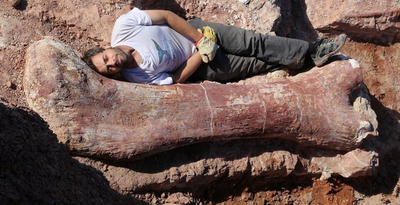 ค้นพบไดโนเสาร์ใหญ่ที่สุดในโลกที่อาร์เจนตินา