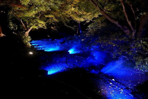 บรรยากาศใบไม้เปลี่ยนสีจากสวน Rikugien ที่กรุงโตเกียว