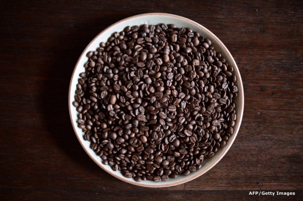 “กาแฟขี้ช้าง” กาแฟที่มีราคาแพงที่สุดในโลก   