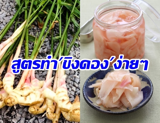  อภัยภูเบศร แจกสูตรขิงดองบำรุงร่างกาย ทำกินเองง่ายๆ ต้านมะเร็ง แถมยังดีต่อลำไส้