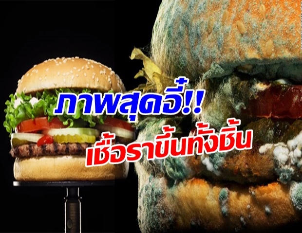 โฆษณาช็อกคนดู เบอร์เกอร์ราขึ้นฟู กระตุกขวัญให้หันกินออร์แกนิก