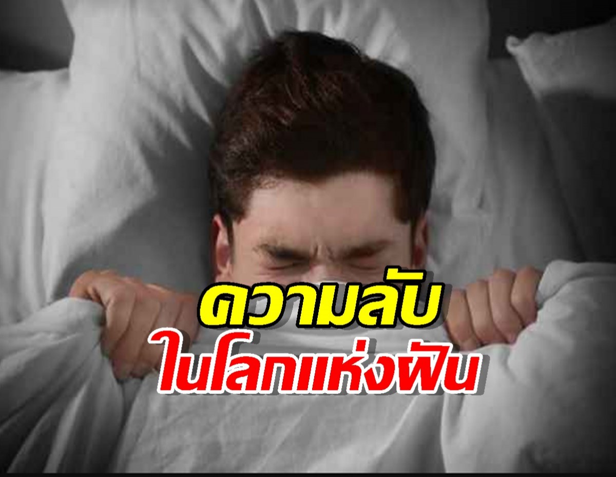 ทำไมเราถึงฝัน?ความลับสมองที่เปลี่ยนการนอนเป็นเรียนรู้