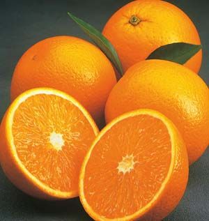 เปลือกส้มเปลือกมะนาว ช่วยให้ครัวหอม