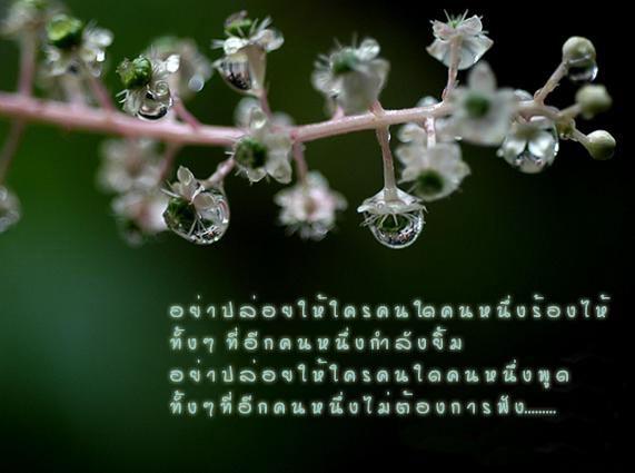 รัก...ไม่มีคำบรรยาย