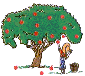 ต้นแอปเปิ้ลกับเด็กน้อย