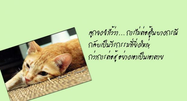 คำสอนของพ่อ สู่ลูก