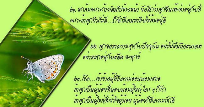 คำสอนของพ่อ สู่ลูก