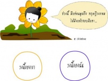 ทฤษฏีวงกลม