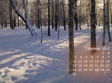 ปฎิทิน wallpaper รับปีใหม่ 2011 สวย ๆ จ้า!!