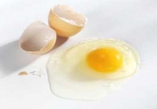 โทษของการกินไข่ดิบ” เลิกซะ! เพื่อสุขภาพดี 