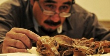 พบมัมมี่สุนัขอายุกว่าพันปี ที่เม็กซิโก