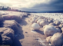 ลูกบอลน้ำแข็งขนาดใหญ่นับร้อยก่อตัวเกลื่อนชายหาดสหรัฐ 