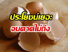 เปิด 15 ประโยชน์ของเปลือกไข่ ที่ทำให้คุณต้องทึ่ง