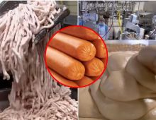 เปิดเบื้องหลัง กรรมวิธีทำฮอตด็อก รู้เเล้วอาจกินไม่ลงอีกเลย