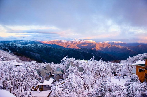 Mt Buller  ประเทศออสเตรเลีย