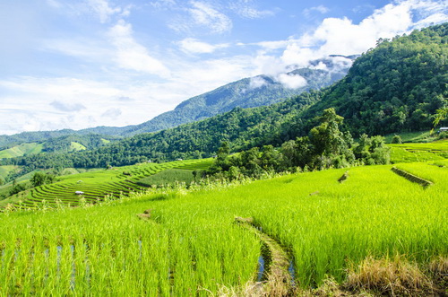 เที่ยวเหนือหน้าหนาว ในช่วงปีใหม่กับสถานที่สุดฟิน!