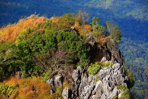 เที่ยวเหนือหน้าหนาว ในช่วงปีใหม่กับสถานที่สุดฟิน!