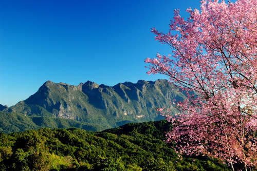 เที่ยวเหนือหน้าหนาว ในช่วงปีใหม่กับสถานที่สุดฟิน!