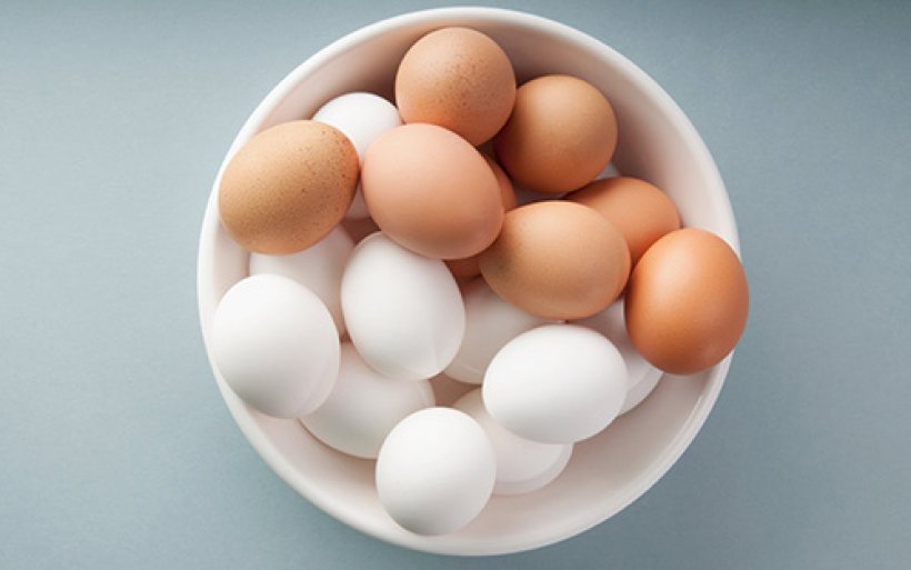ไขคำตอบ ไข่ไก่-ไข่เป็ด กินอะไรดีต่อสุขภาพที่สุด