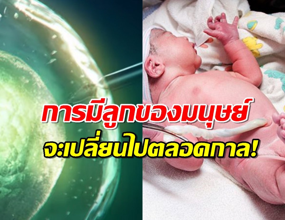 สุดล้ำ.สิ่งนี้ ช่วย คนโสดหรือคู่รักLGBTQ ให้มีลูกได้จากเซลล์ผิวหนัง