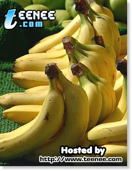 กล้วย สรรพคุณร้อนแปด 