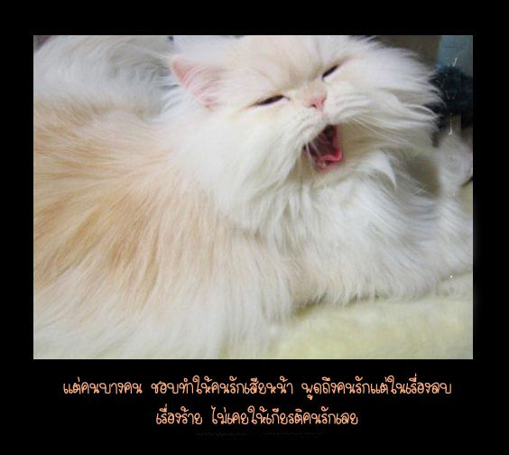 ความรู้สึกที่ไม่น่าล้อเล่นเลย