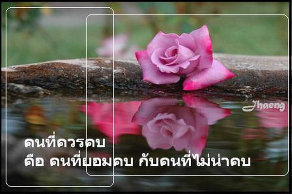 คำคม...โดนใจ