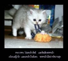 จากคนบางคน...ถึงคนบางคน 