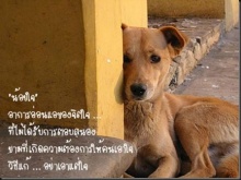 อาการของหัวใจ