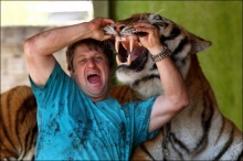 ทำได้ไง หนุ่มบราซิลฝึกเสือโคร่งเชื่องเป็นแมว 