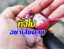 ภัยใกล้ตัว! หัวหอมมีจุดราดำ กินเเล้วเสี่ยงมะเร็ง