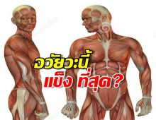 เฉลยแล้ว ส่วนไหนในร่างกายที่ แข็ง ที่สุด?