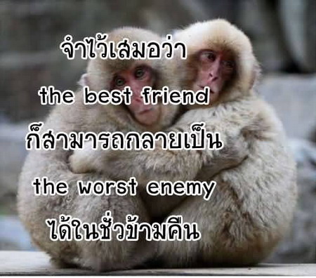 ข้อความดีๆ ที่อ่านแล้วต้องเซพเก็บไว้