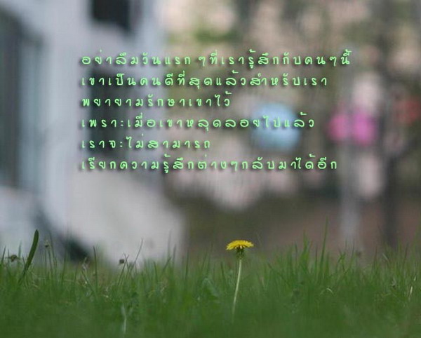 รักไม่มีคำบรรยาย