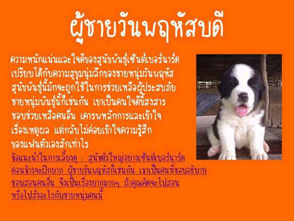 นิสัยของแฟนคุณ เหมือนหมาพันธ์อะไร