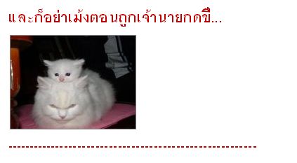 ข้อห้ามในวันทำงาน แบบน่ารัก น่ารัก