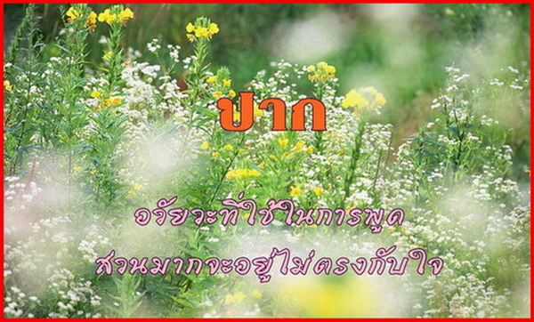 เรื่องของ..อวัยวะ