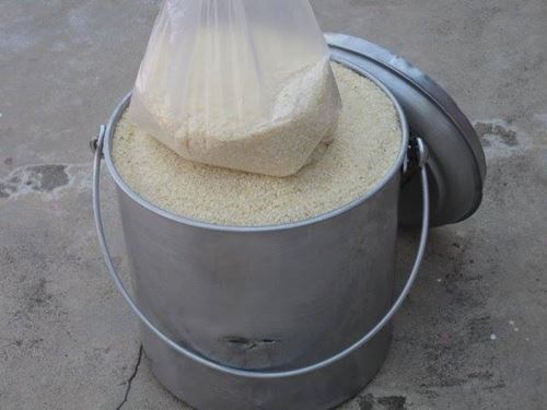 อินเดียผุดเทรนด์ใหม่ Rice Bucket Challenge บริจาคข้าวให้คนจน