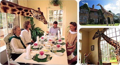 1. The Giraffe Manor