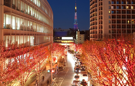 7 ที่สุดการประดับไฟคริสต์มาสที่โตเกียว สวยมากห้ามพลาด! 