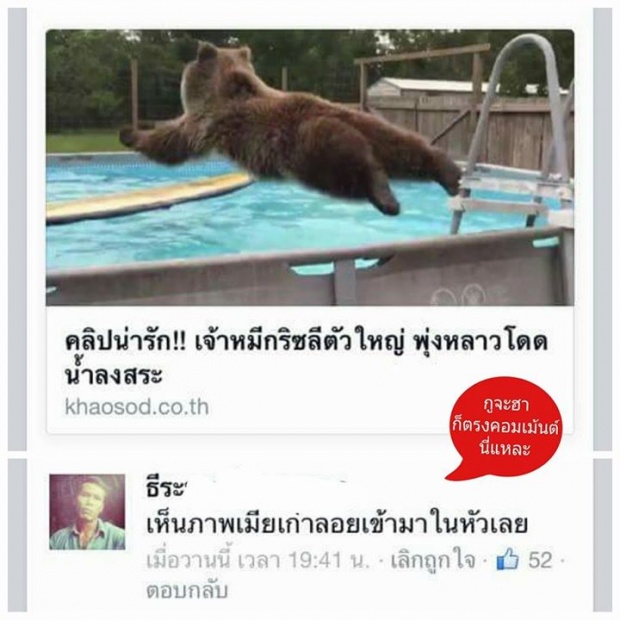 รวม 17 ภาพ ฮาตรงคอมเม้นท์นี่แหละ เอาโล่ไปเลย