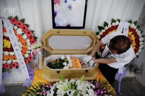 จีนไอเดียเก๋ เปิดตัวธุระกิจรับจัดพิธีศพให้สุนัข สำหรับคนรักสัตว์เลี้ยงโดยเฉพาะ