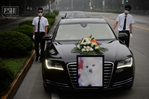 จีนไอเดียเก๋ เปิดตัวธุระกิจรับจัดพิธีศพให้สุนัข สำหรับคนรักสัตว์เลี้ยงโดยเฉพาะ