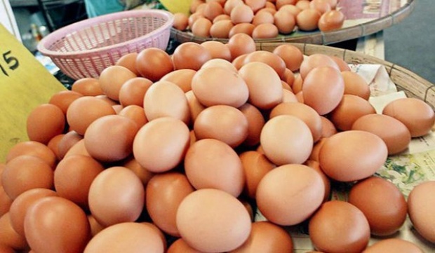 มาดูวิธีเก็บรักษาไข่ ให้มีอายุนานนับปี โดยไม่ต้องแช่ตู้เย็น !!