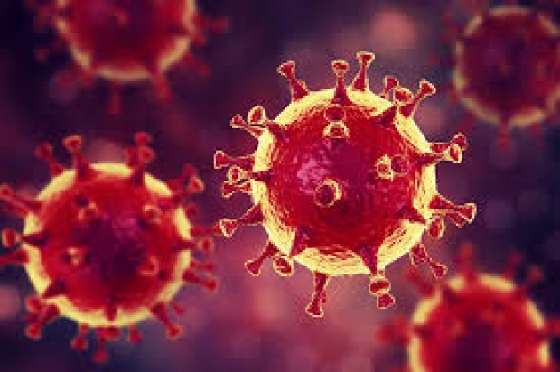 งานวิจัยใหม่ชี้ไวรัสโควิด-19 เริ่มแพร่ระบาดตั้งแต่เดือนก.ย.