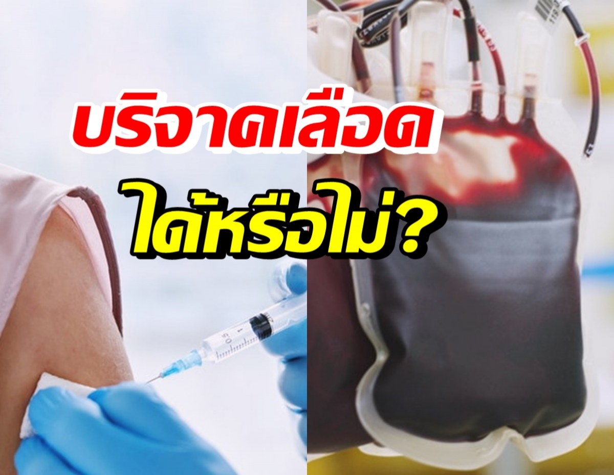 หยุดความเชื่อผิดๆ! ข้อสรุปฉีดวัคซีนโควิดแล้วบริจาคเลือดได้ไหม?