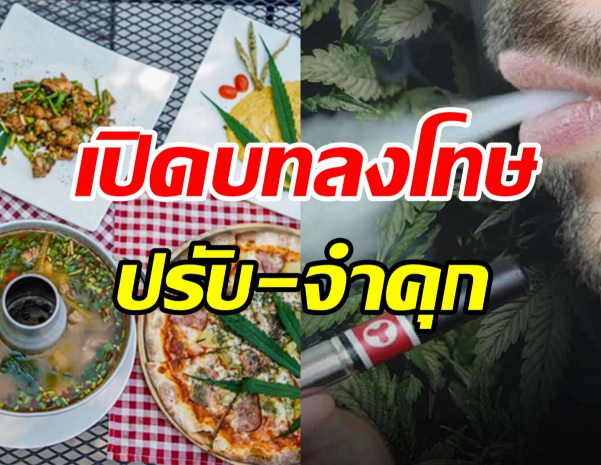 เช็คที่นี่โทษปรับ-จำคุกขายกัญชาให้คน3กลุ่ม กลิ่น-ควันเป็นเหตุรำคาญ 