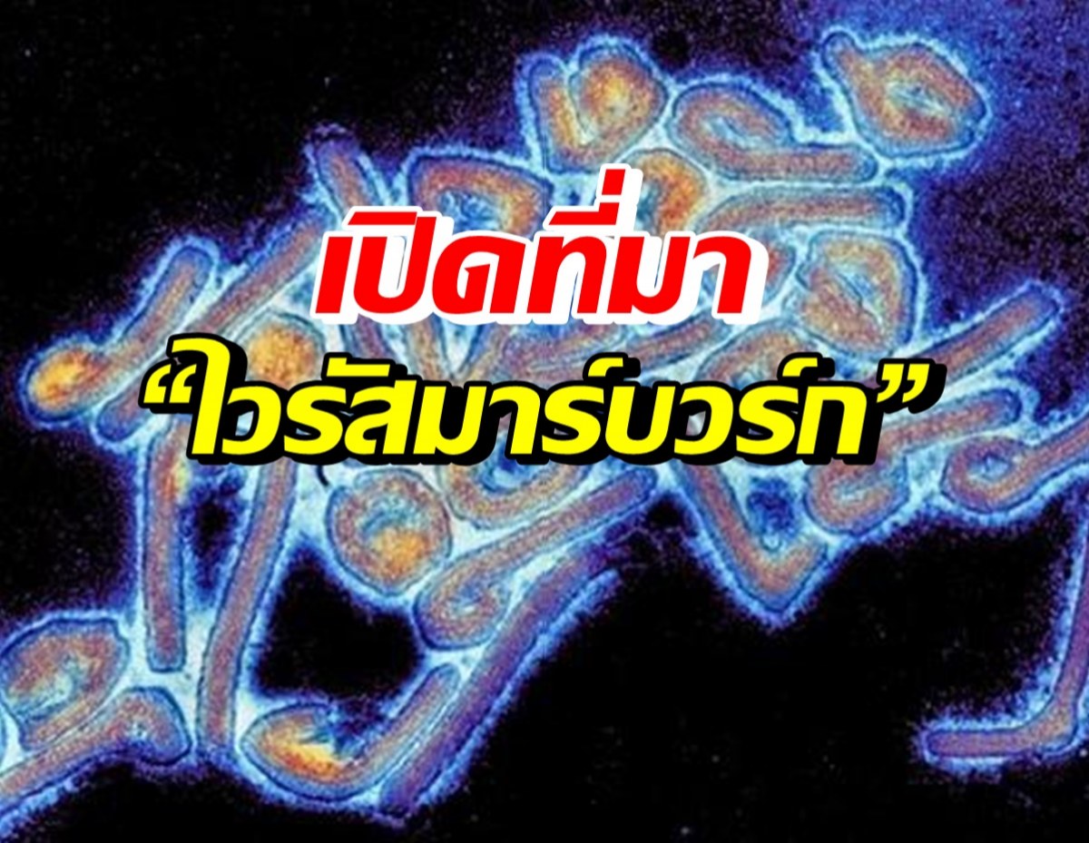 เปิดที่มา “ไวรัสมาร์บวร์ก” โรคติดต่อที่อันตรายถึง 90%