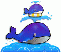 ทำไมปลาวาฬมีน้ำพุ่งอยู่บนหัว