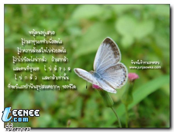 หลากหลายอารมณ์ของความรัก 2